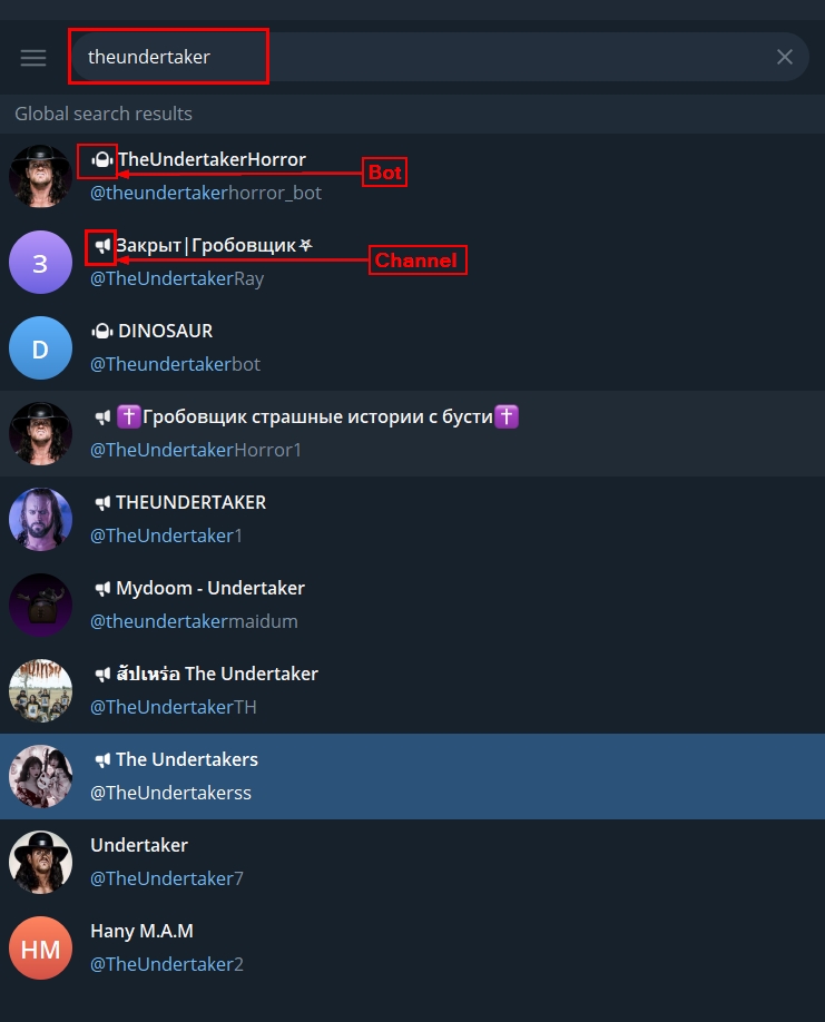 Search for a Telegram user account