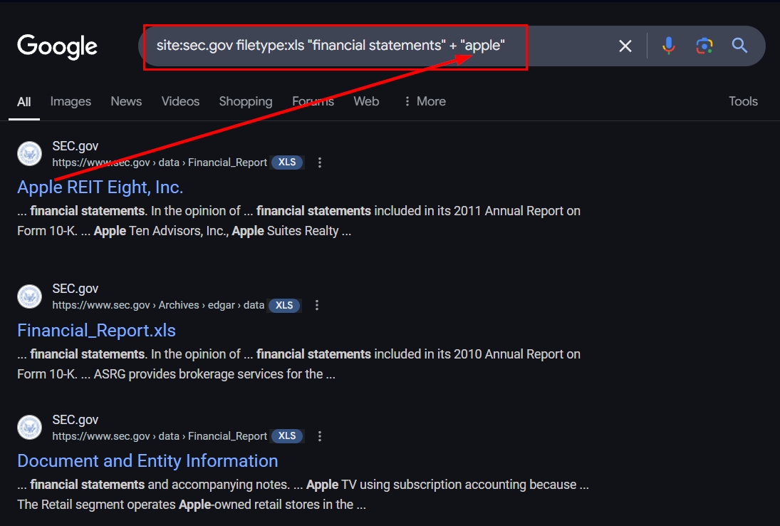Using Google Dorks to search for companies' financial records on the USA sec.gov organization