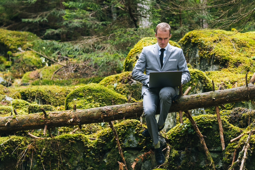 a man sitting on a tree branch with a laptop