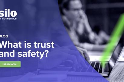 What is trust and safety?