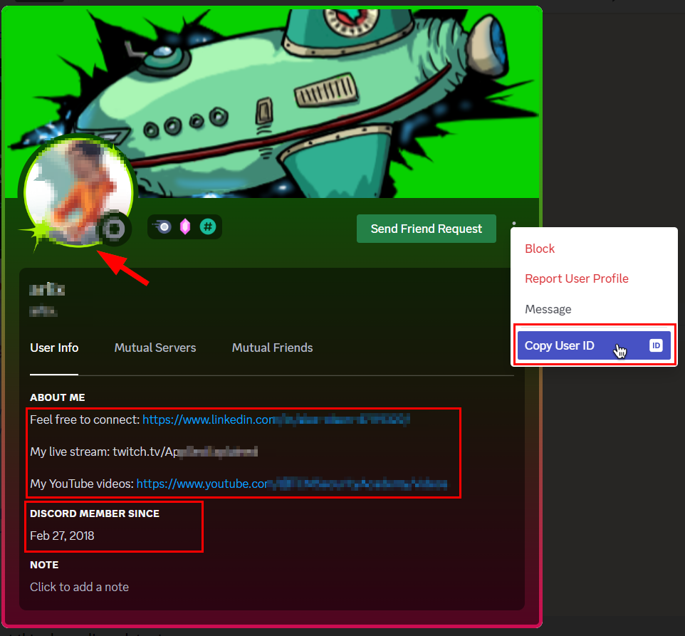 Inspecting a Discord user's profile